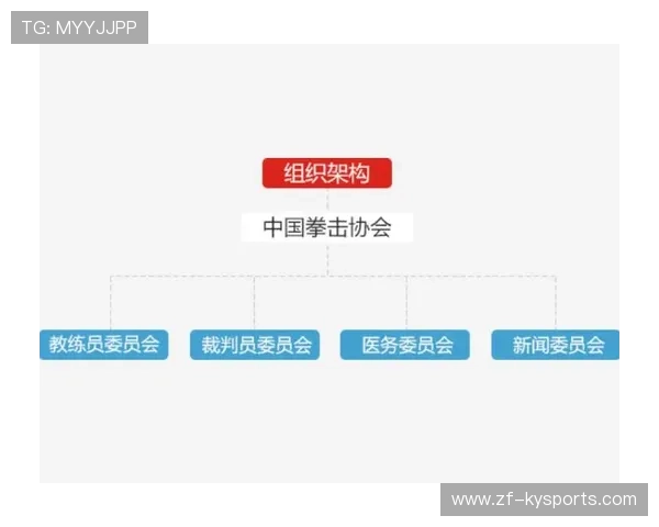 国际拳击职业联盟加强赛场安全与违规惩处机制，国际拳击联合会缩写是什么